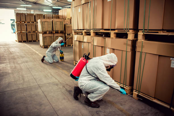 Best Emergency Pest Control  in Benton, AR