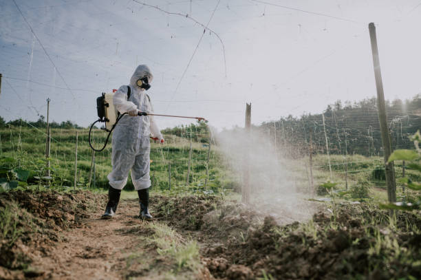 Best Local Pest Control Services  in Benton, AR