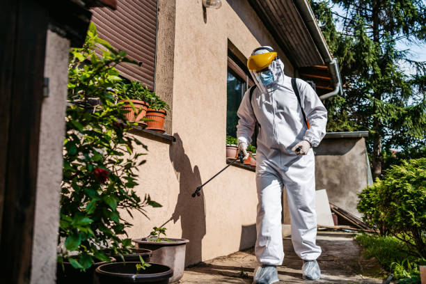 Best Cockroach Control Services  in Benton, AR