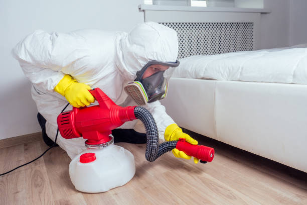 Best Termite Control Services  in Benton, AR