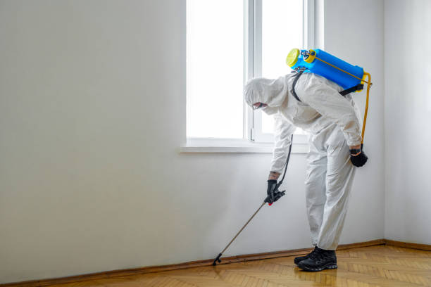 Best Affordable Pest Control Services  in Benton, AR