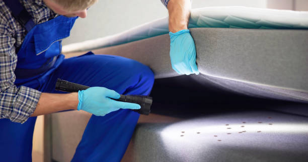Best Pest Control Near Me in Benton, AR
