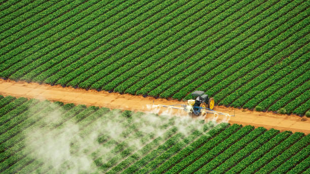 Best Pest Control Near Me  in Benton, AR