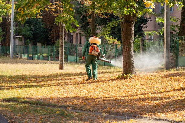 Best Insect Control  in Benton, AR