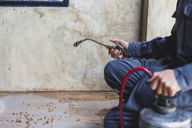Best Affordable Pest Control Services  in Benton, AR